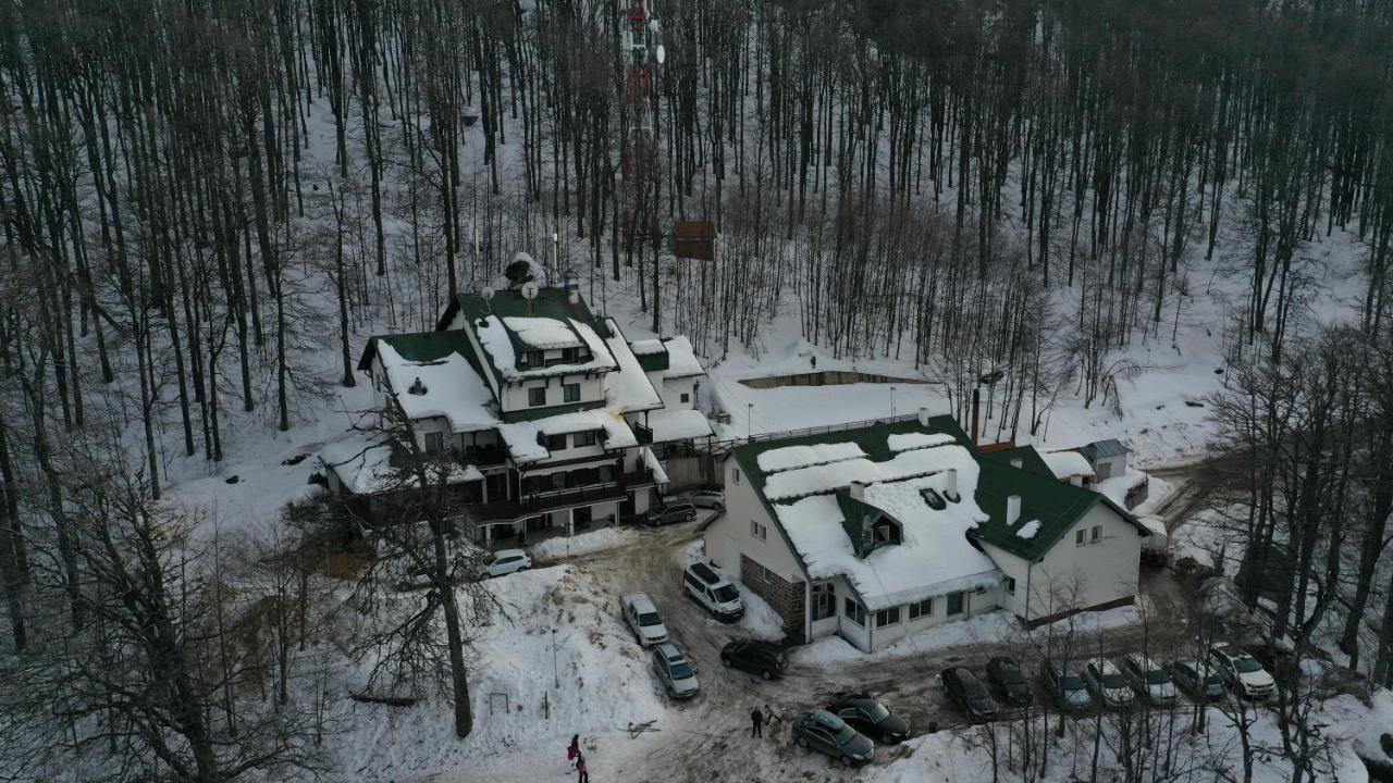 Guesthouse Babin Zub Crni Vrh Zewnętrze zdjęcie