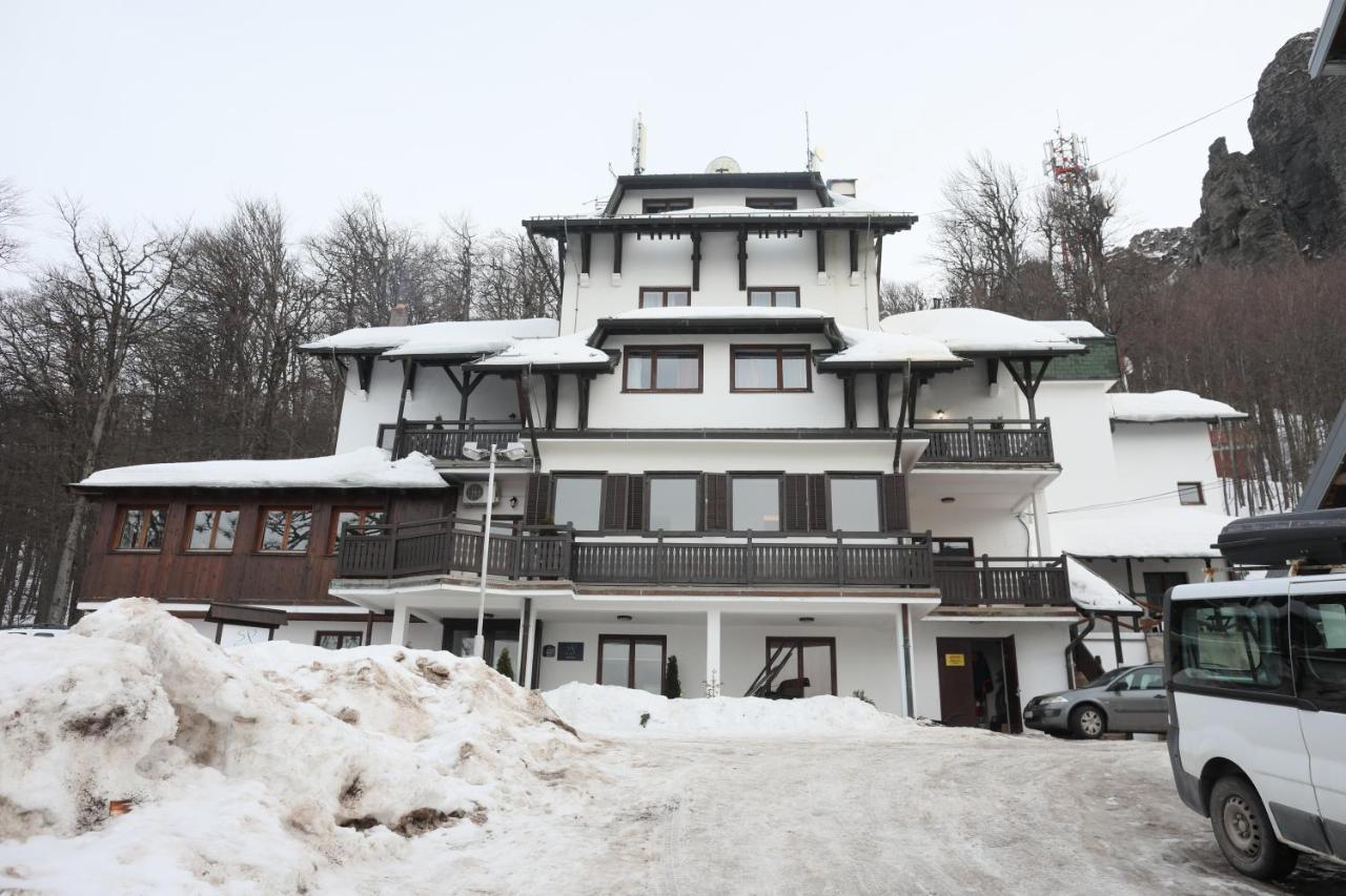 Guesthouse Babin Zub Crni Vrh Zewnętrze zdjęcie